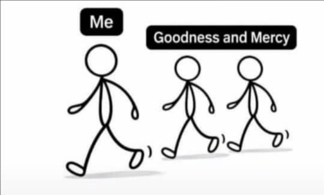 Evelyn-Son 🩶 tweet media