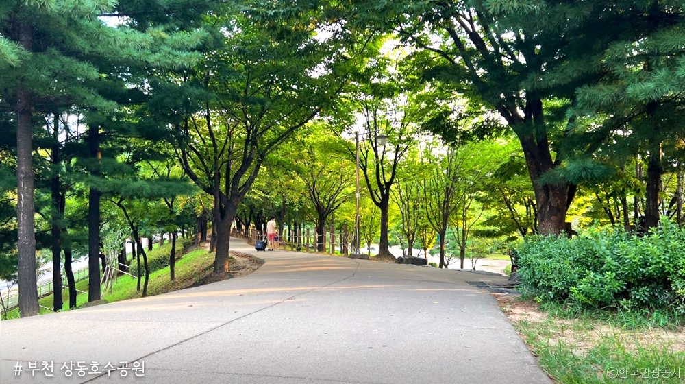 경기도 tweet media