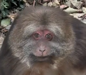 Dr. Mole Peters PhD tweet media