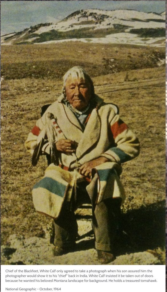 Chris White Calf tweet media