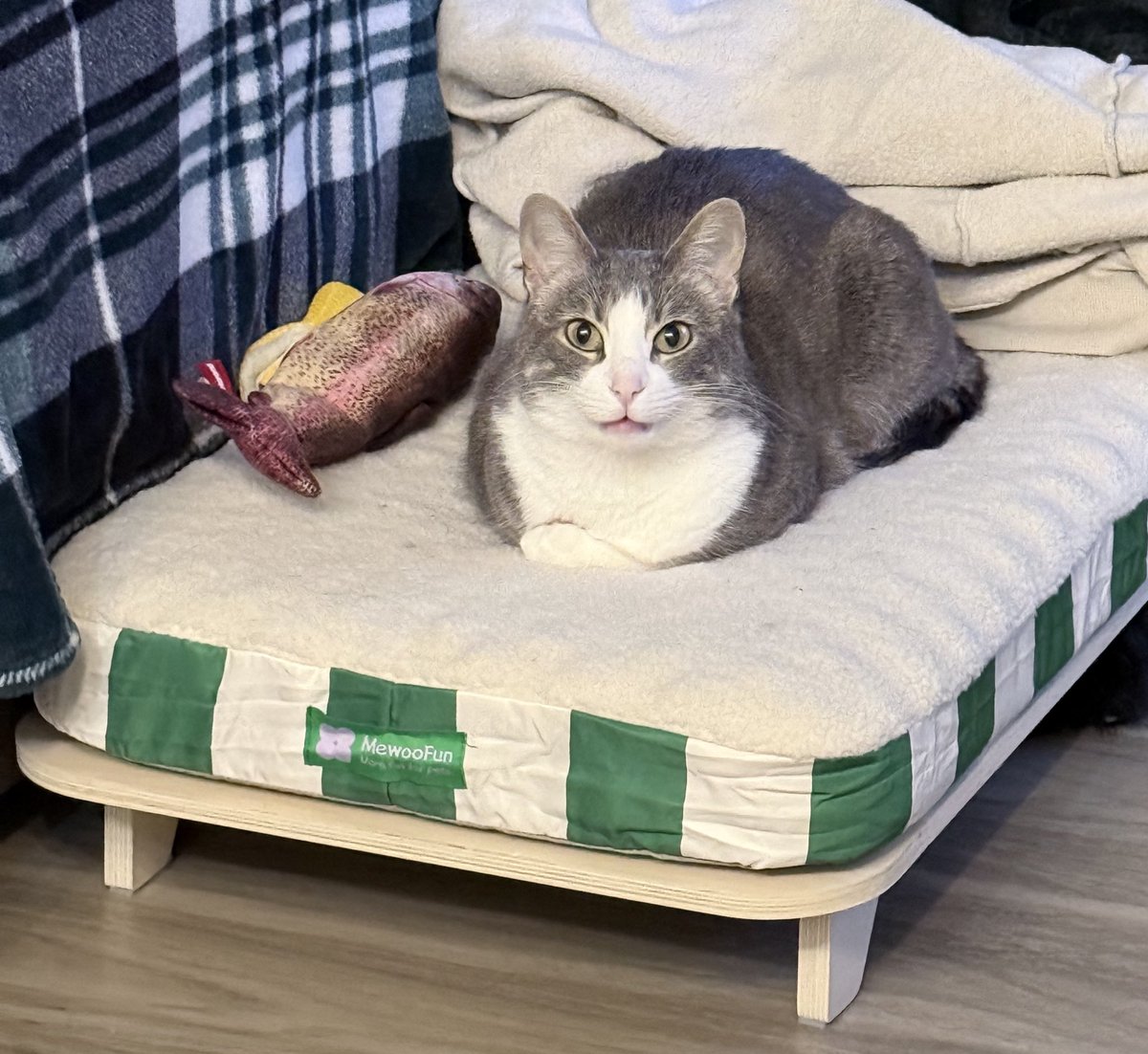 keel🌦 tweet media