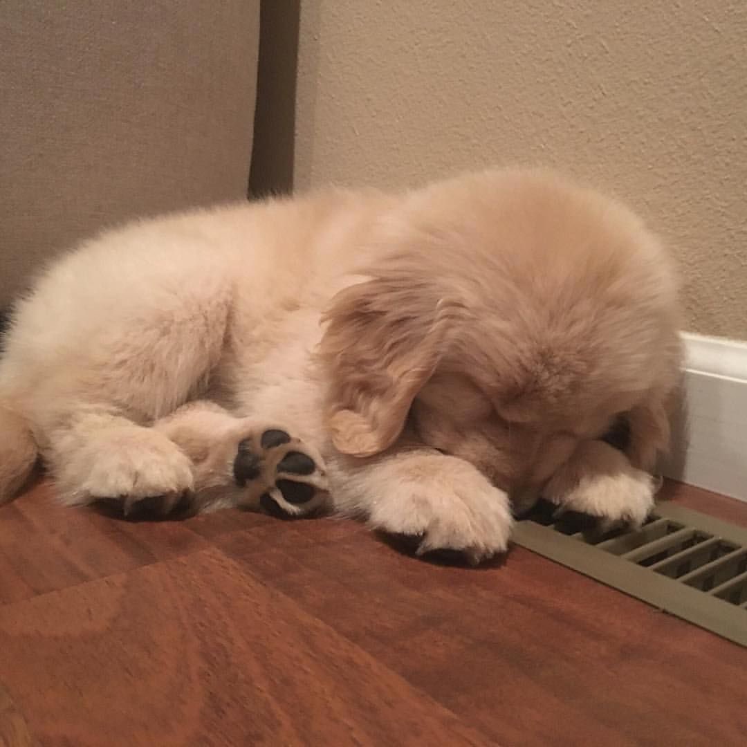 den 🧸 tweet media