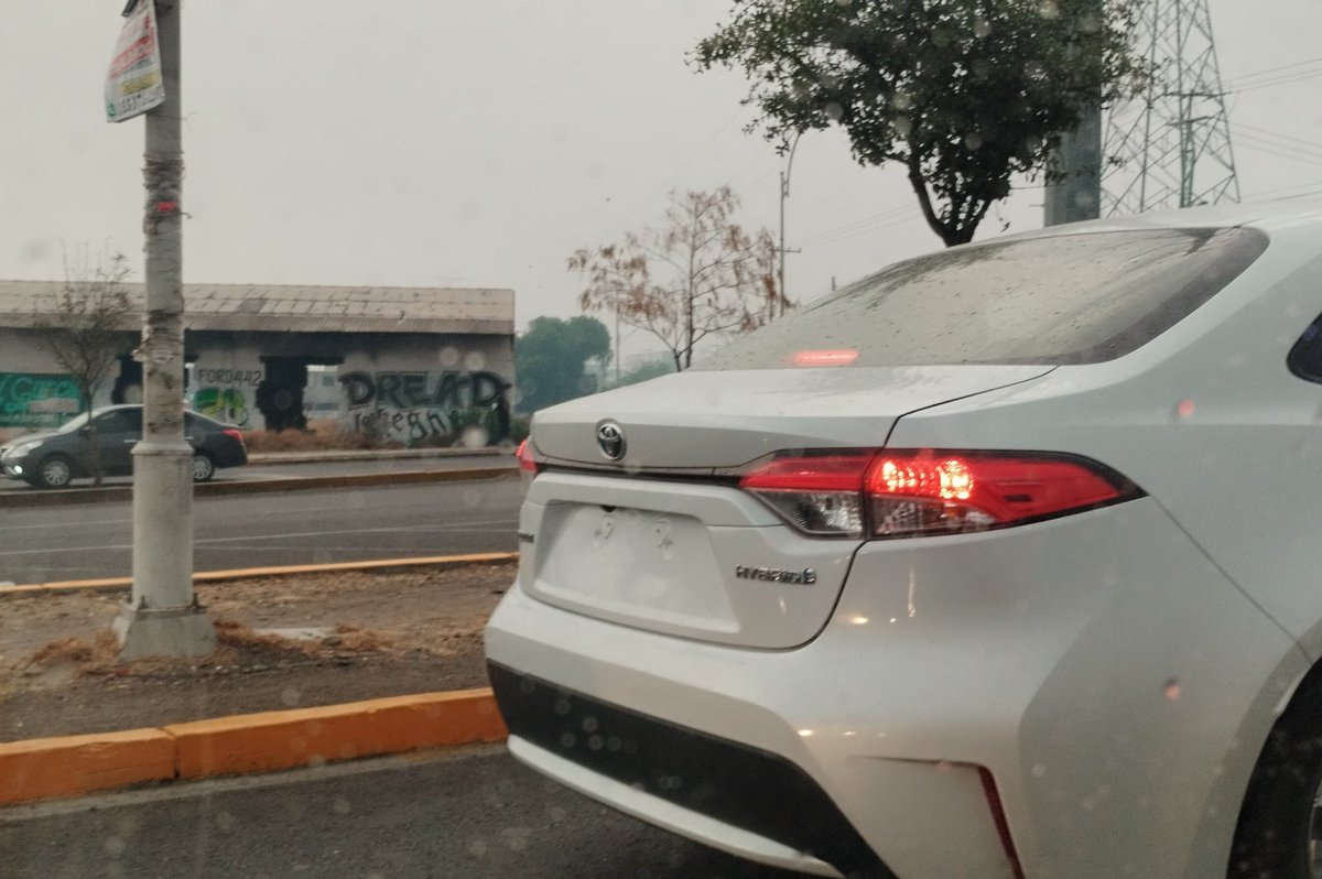 La Yaya de México 🇲🇽🌸🧠🩹🍵🍀👛🏢✈️💃🏘️ tweet media