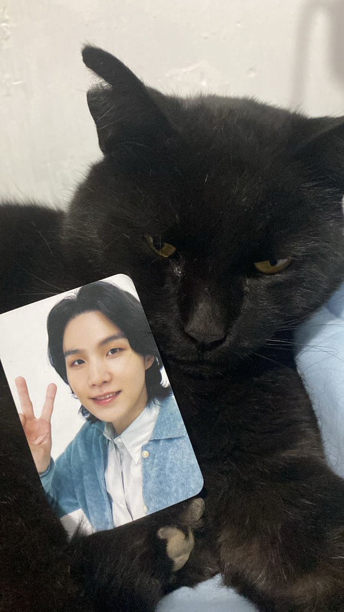 🌮 IS SEEING BTS tweet media