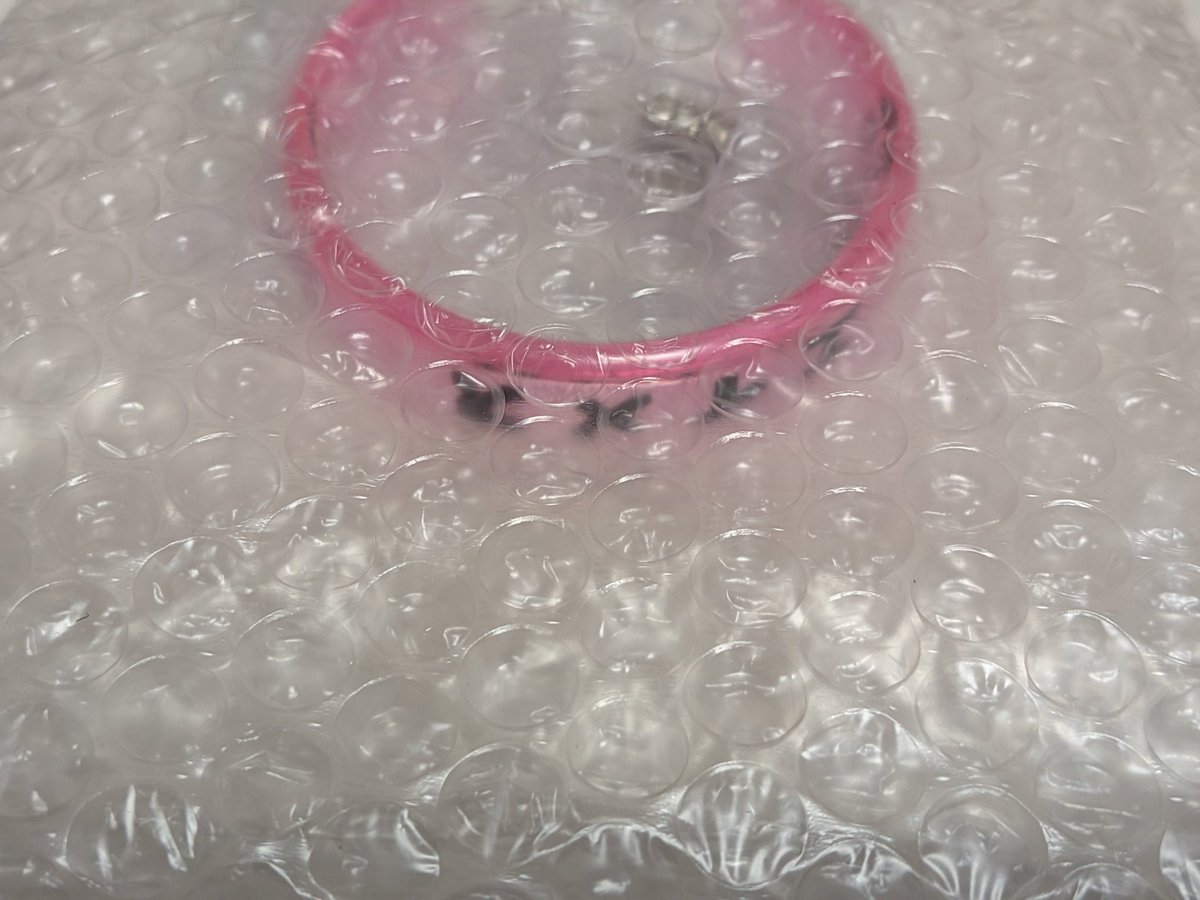 佳雪⭕️ tweet media