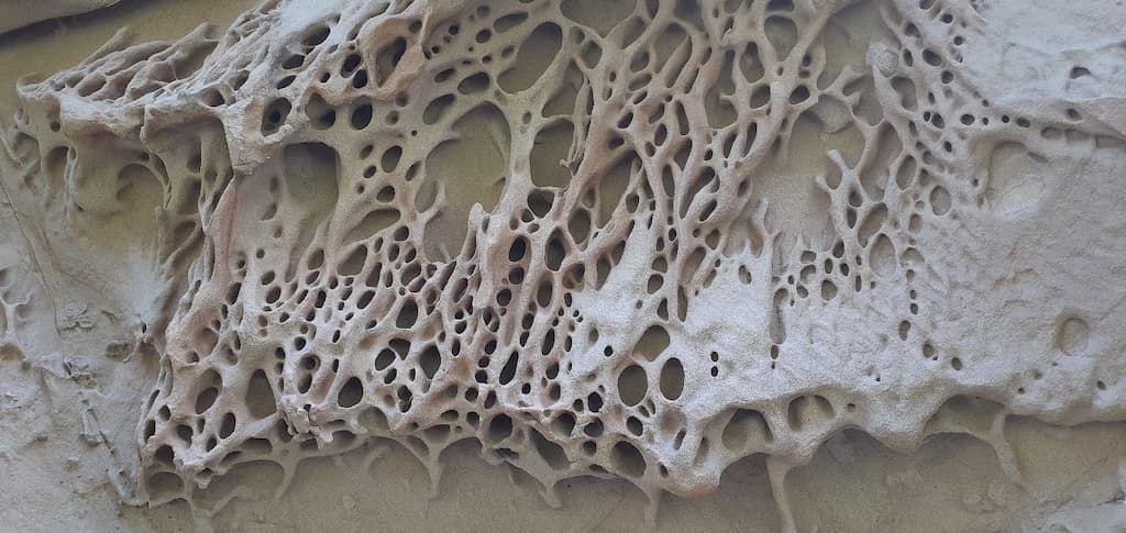 Jblasa.com tweet media