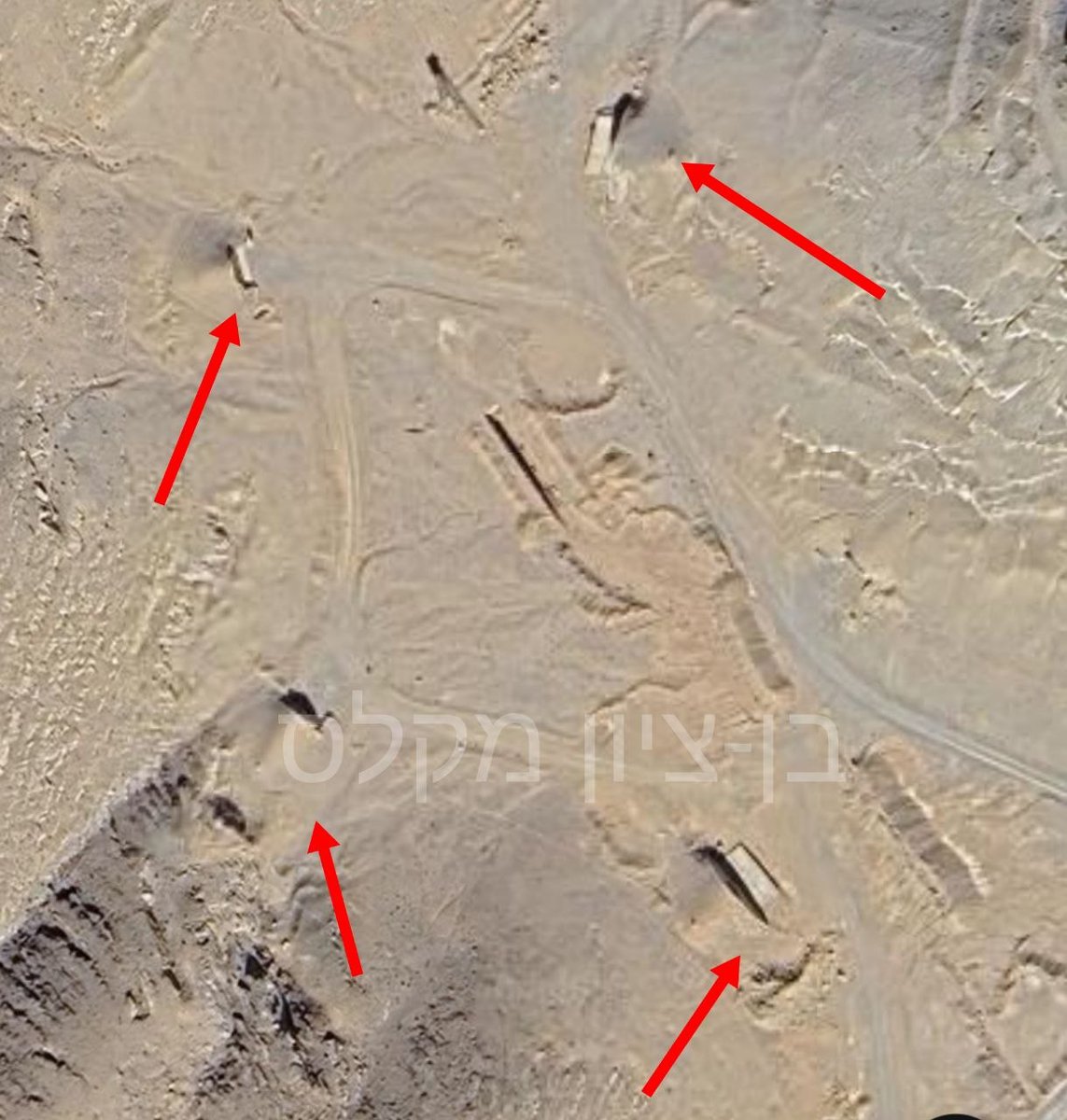 Ben Tzion Macales tweet media