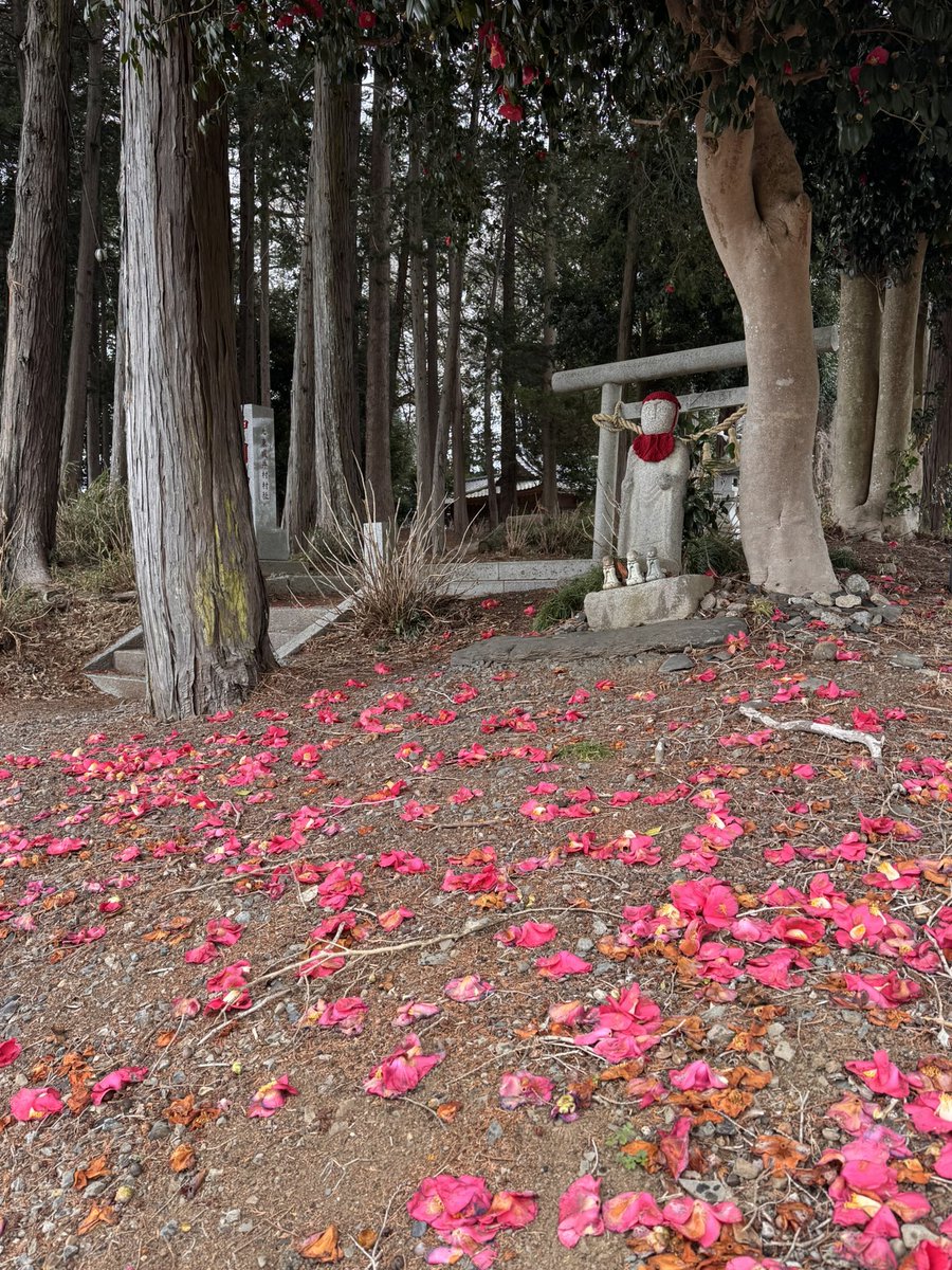 Orion3sta's tweet photo. 神明神社のお地蔵さんと椿
#iPhone日記 https://t.co/GZxx0typCh