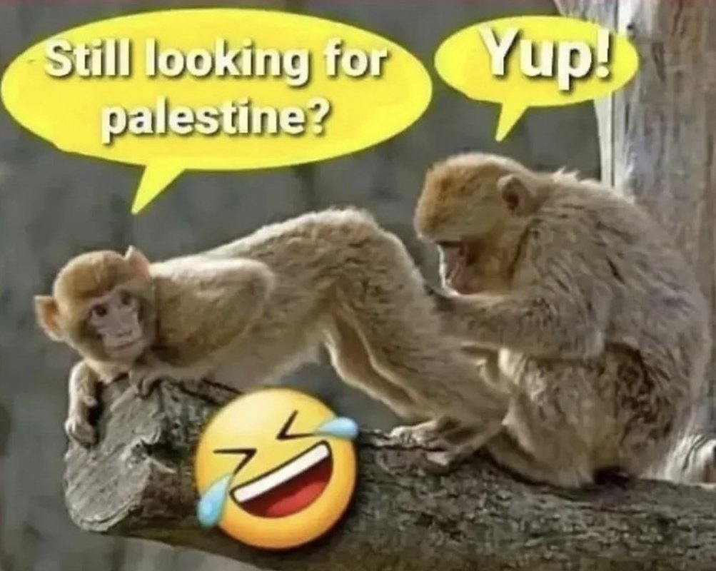 Asaf ash tweet media