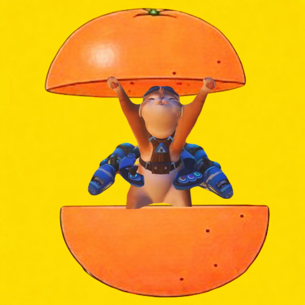 ハンゾーちゃんねる tweet media