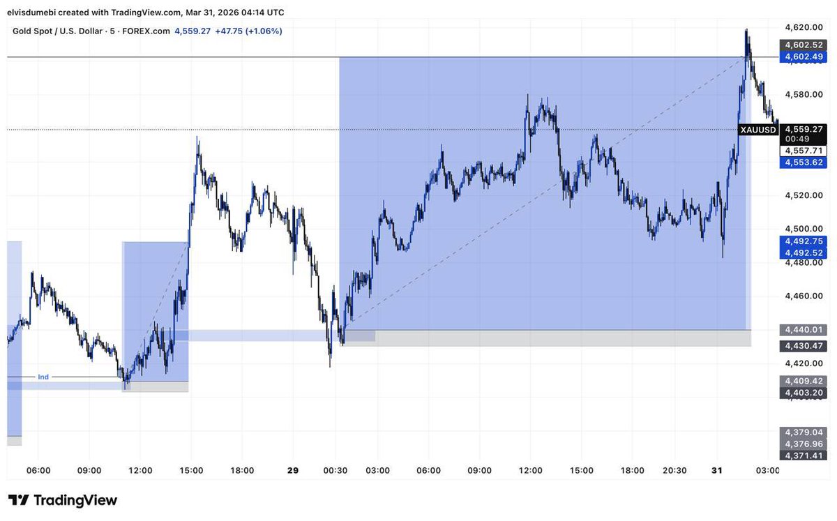 Elvis Fx tweet media