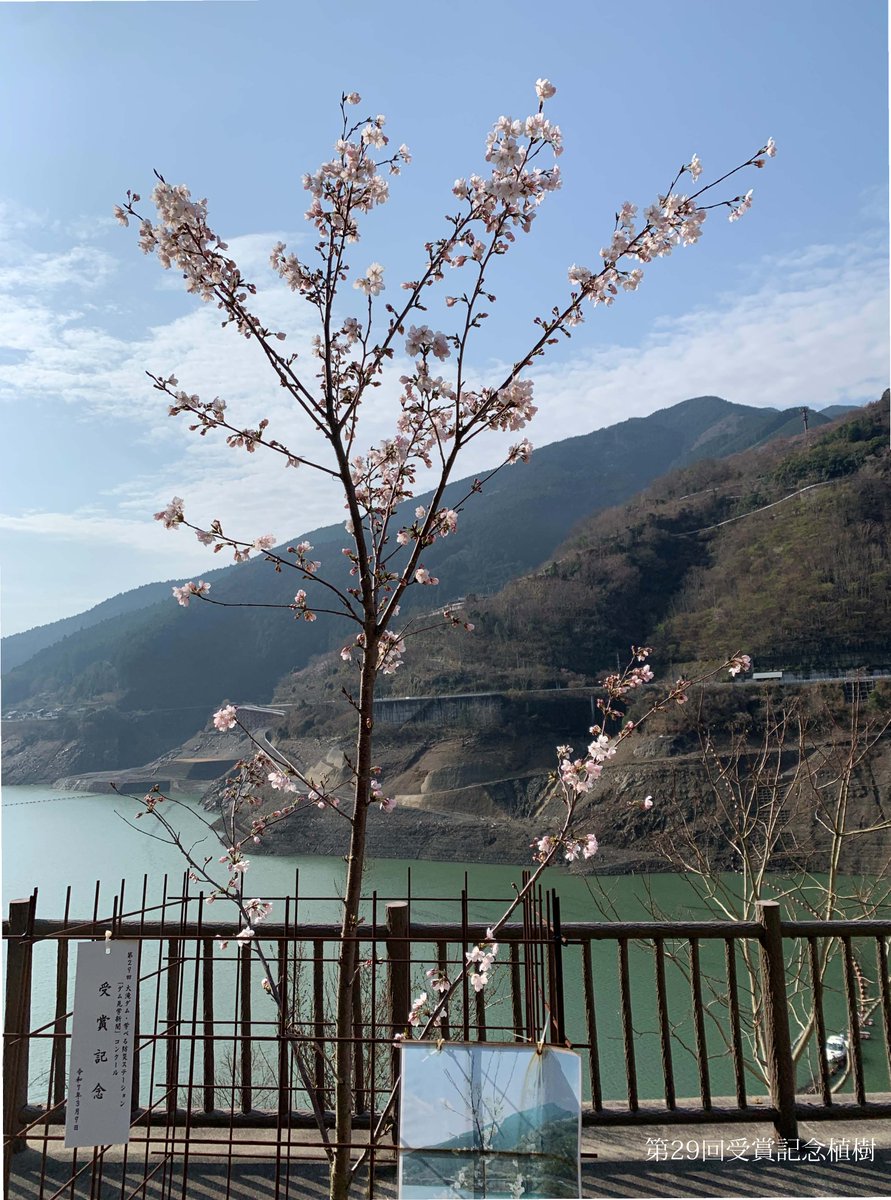 国土交通省　紀の川ダム統合管理事務所 tweet media