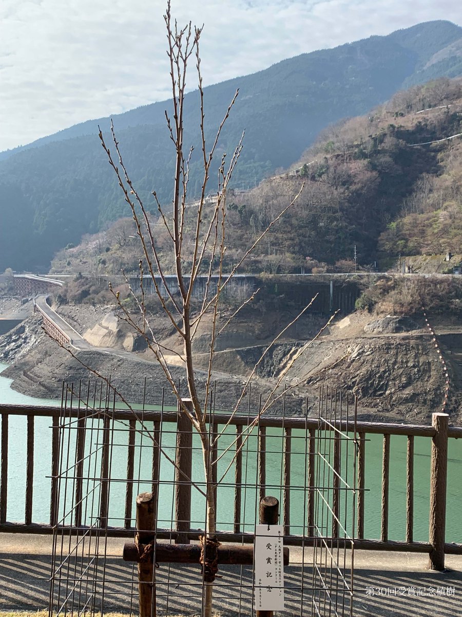 国土交通省　紀の川ダム統合管理事務所 tweet media