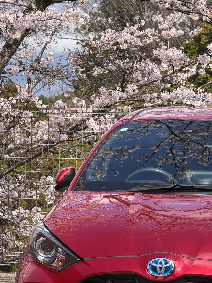 Erwin Vollmann🎗 tweet media