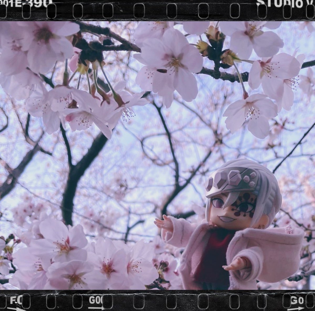 ✨🎶 𝐘𝐔𝐑𝐈🎶✨ tweet media