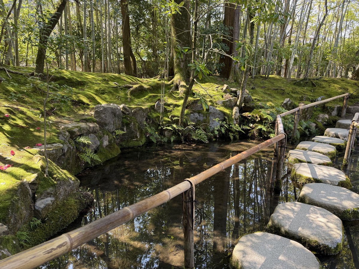 castle1146's tweet photo. #京都旅行 （京都府）

天授庵では 方丈前庭や書院南庭で🏡🐟や苔（落ち着くねぇ🤗ほっこり）を👀ｷﾞｮﾛ
そりゃ海外の人たちも これ👀したらうっとりだょ😎ﾌｯ

大切に守っていかねばならないのだ😤ﾌﾝｯ https://t.co/G5FXFxhnOQ