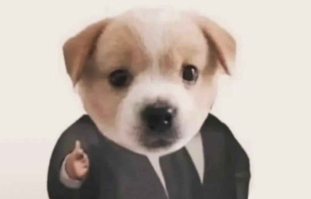 nayib nava tweet media