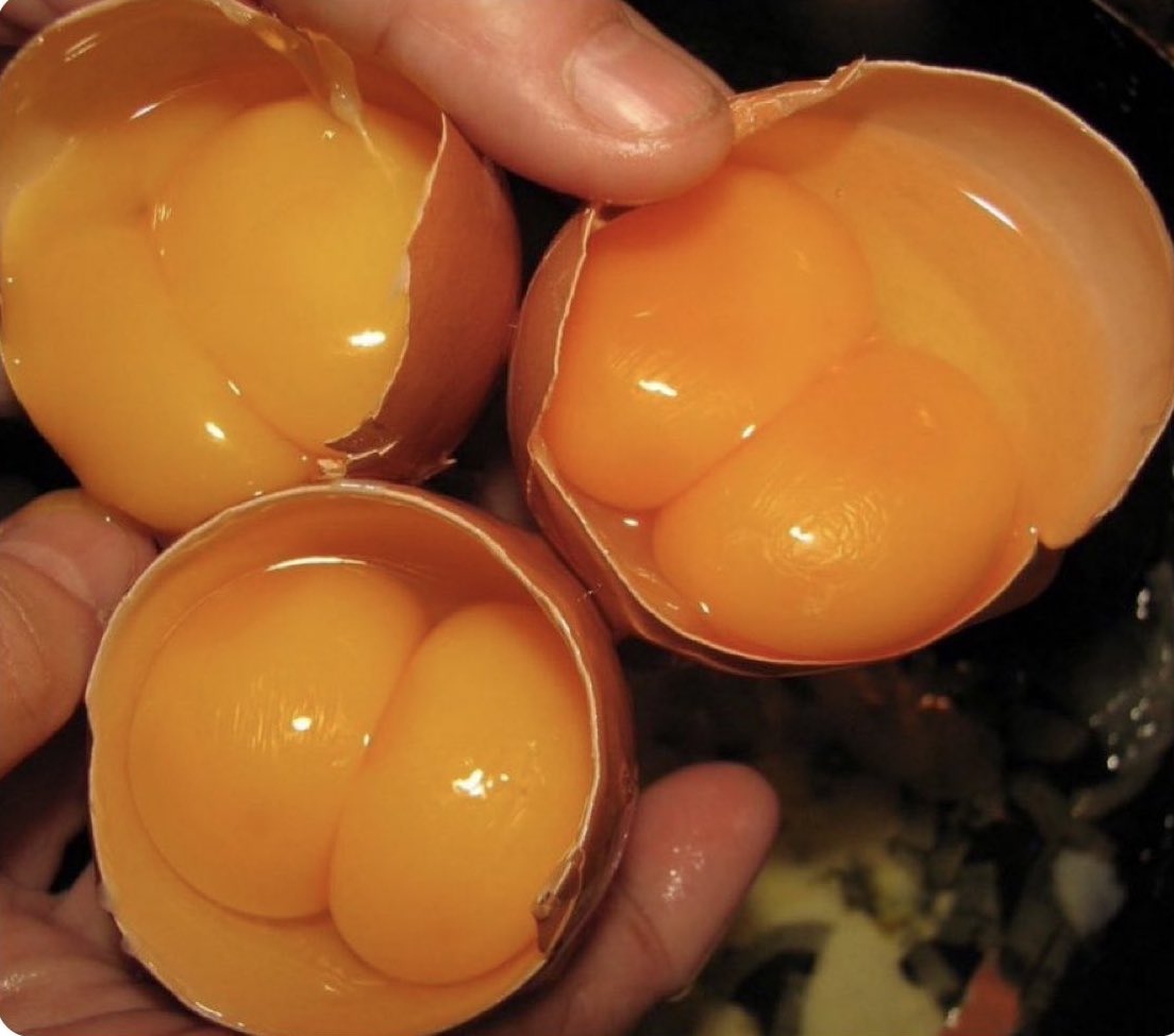 BAMIDELE🕊 tweet media