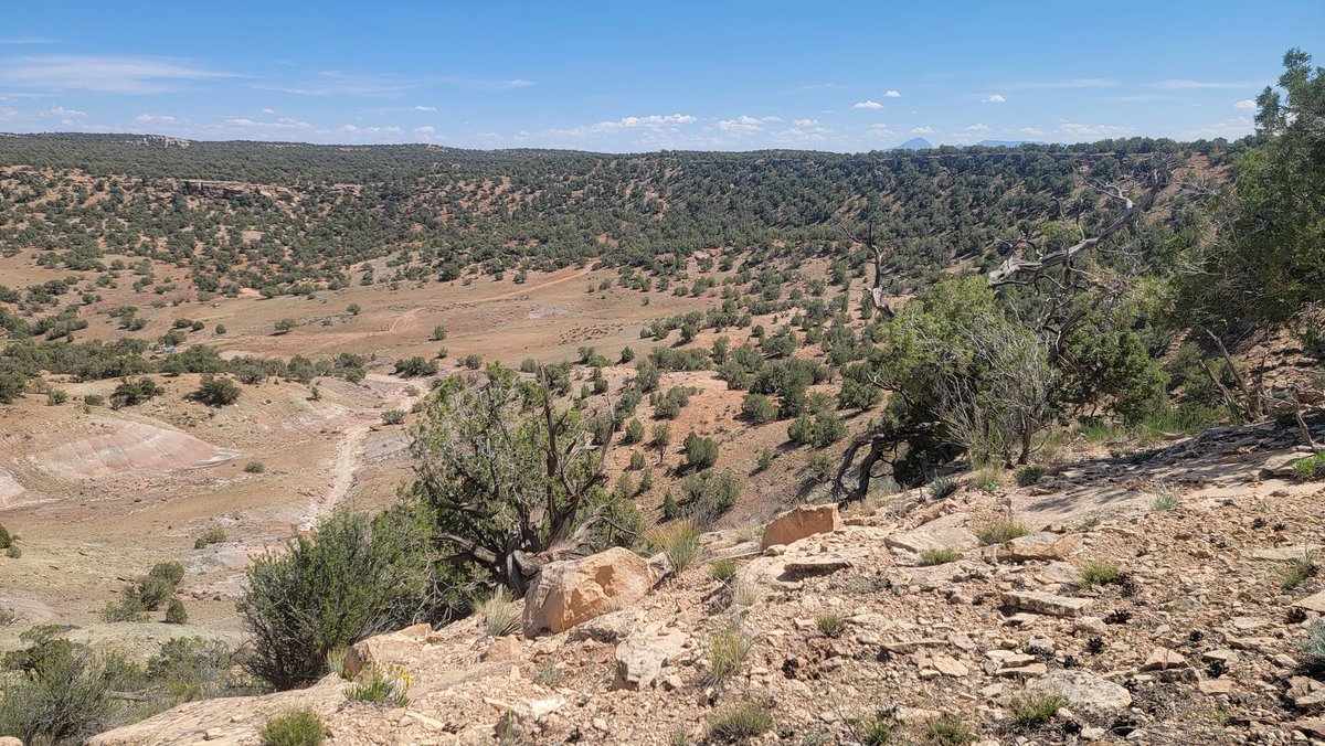 Jim Kirkland tweet media