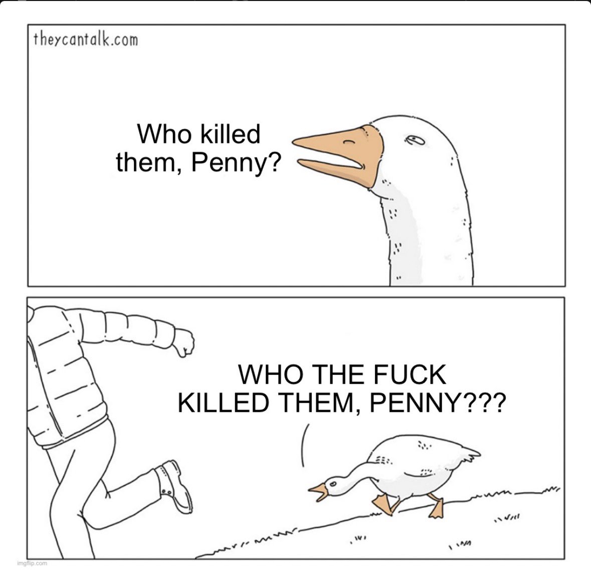 Marina 🐝 tweet media