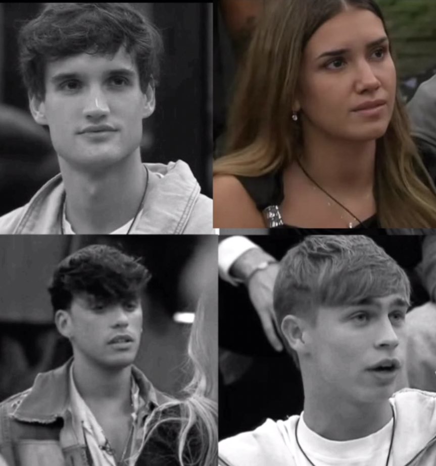 FACTONETA tweet media