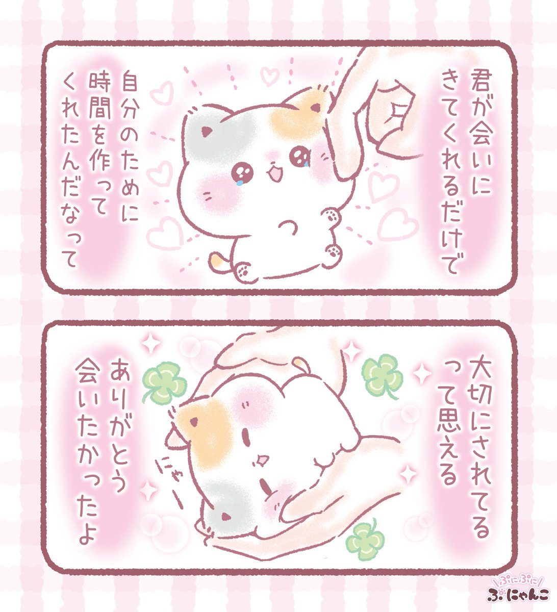 ぷにゃんこ🐾｜TOKUDOME🌼 tweet media