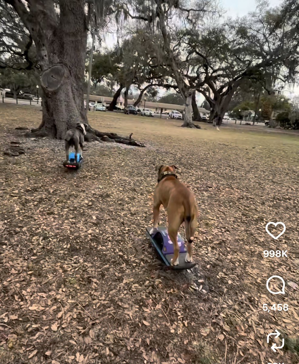 CH*NA .✦ ݁˖ tweet media