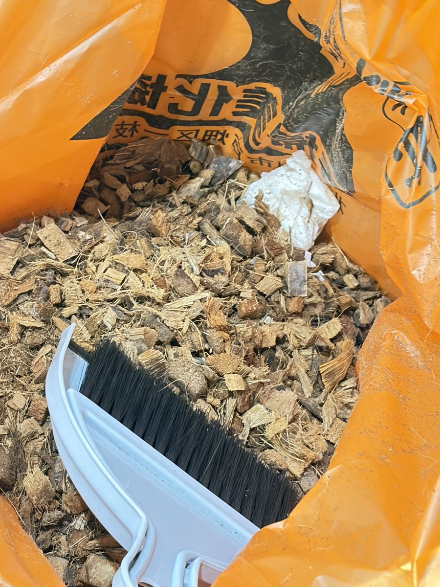 810lasucivia tweet media