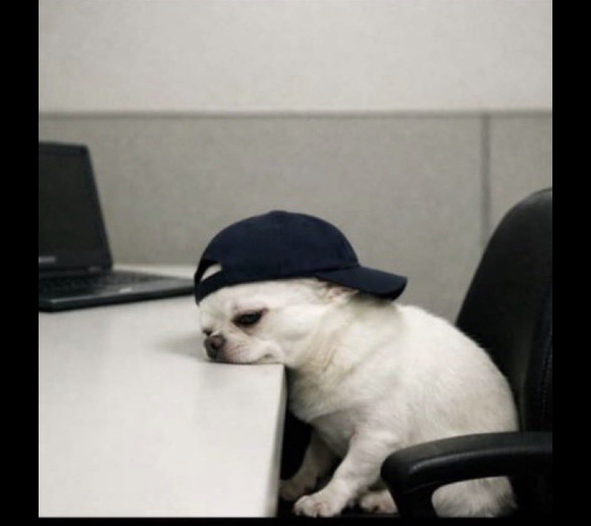 Kanayologs tweet media