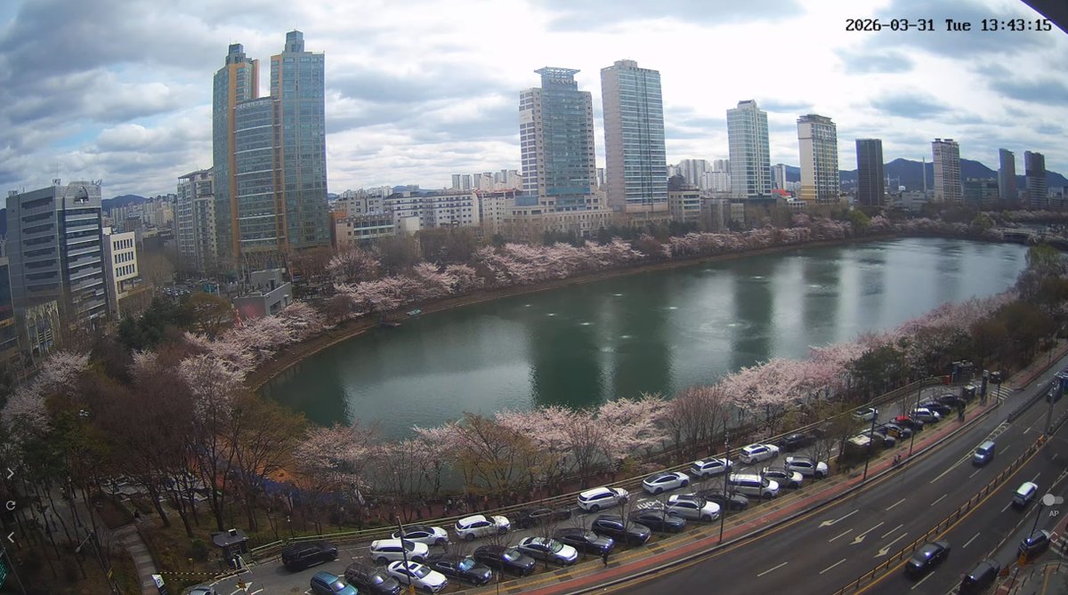 석촌호수 라이브 캠 소개 이미지