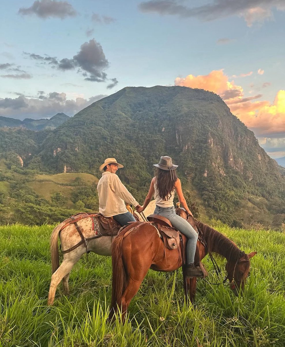 Gökbörü tweet media