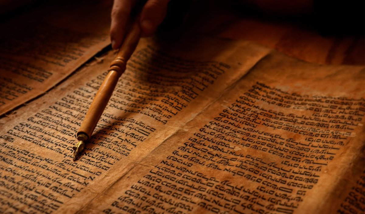 Clint Warren-Davey tweet media