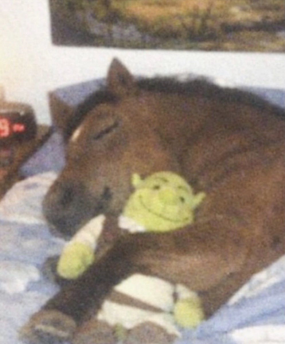 $T. LOSER tweet media