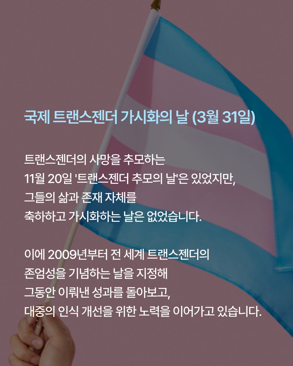 돌고래 tweet media