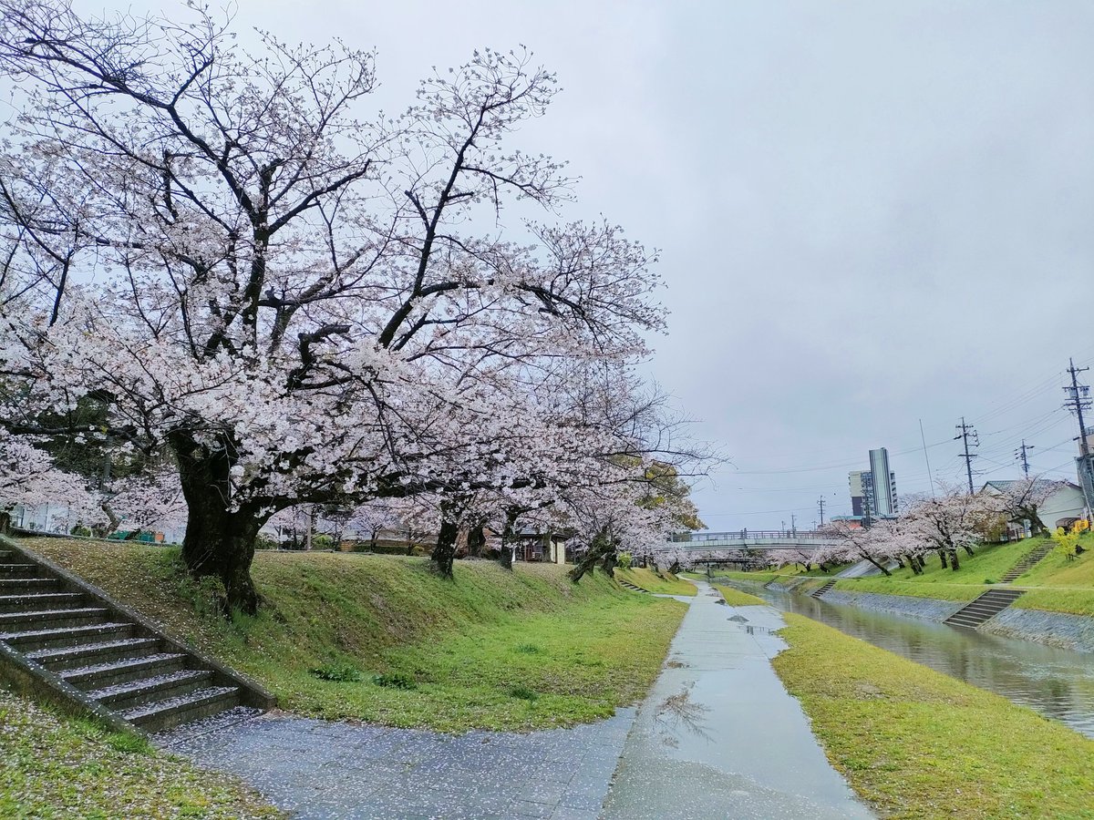SV650_DRUM's tweet photo. 雨の岡崎城…
本日はライブ観戦
(撮影係でお手伝い)🤩
#岡崎市
#リブラ
#Liblive https://t.co/kJsNkybbcO