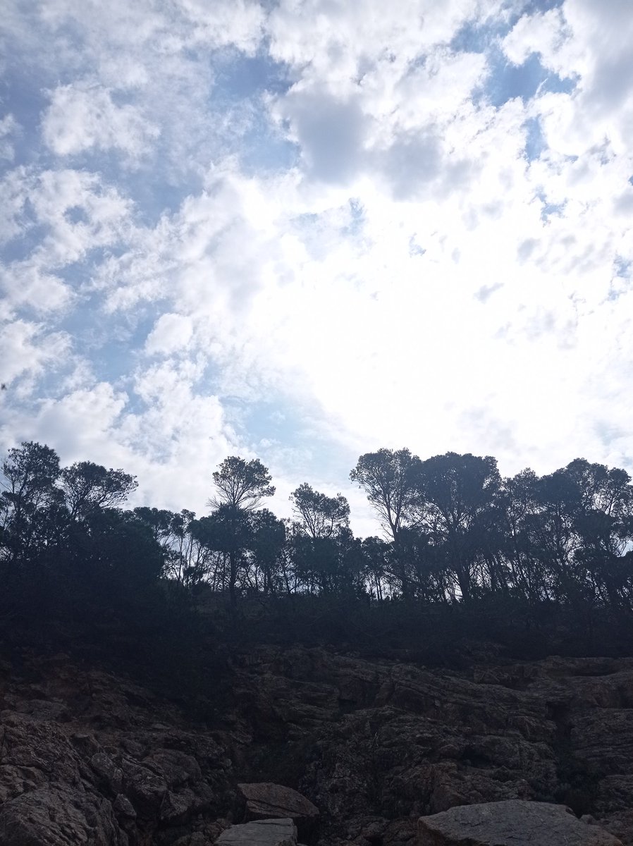CgsKarma's tweet photo. Tinc camins per obrir
en la memòria de l' oblit.
La clau que ho permet 
resta quieta, guardada,
a l' espera d' un secret. https://t.co/NjjCmAAn4r