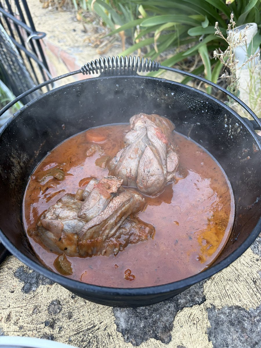 TroyDownUnder's tweet image. Troy’s #DownUnderCampfire #Firepit #DutchOven #CampOven cooking. 

Slow cooked lamb shanks in red wine with sweet camp oven cooked dinner rolls.