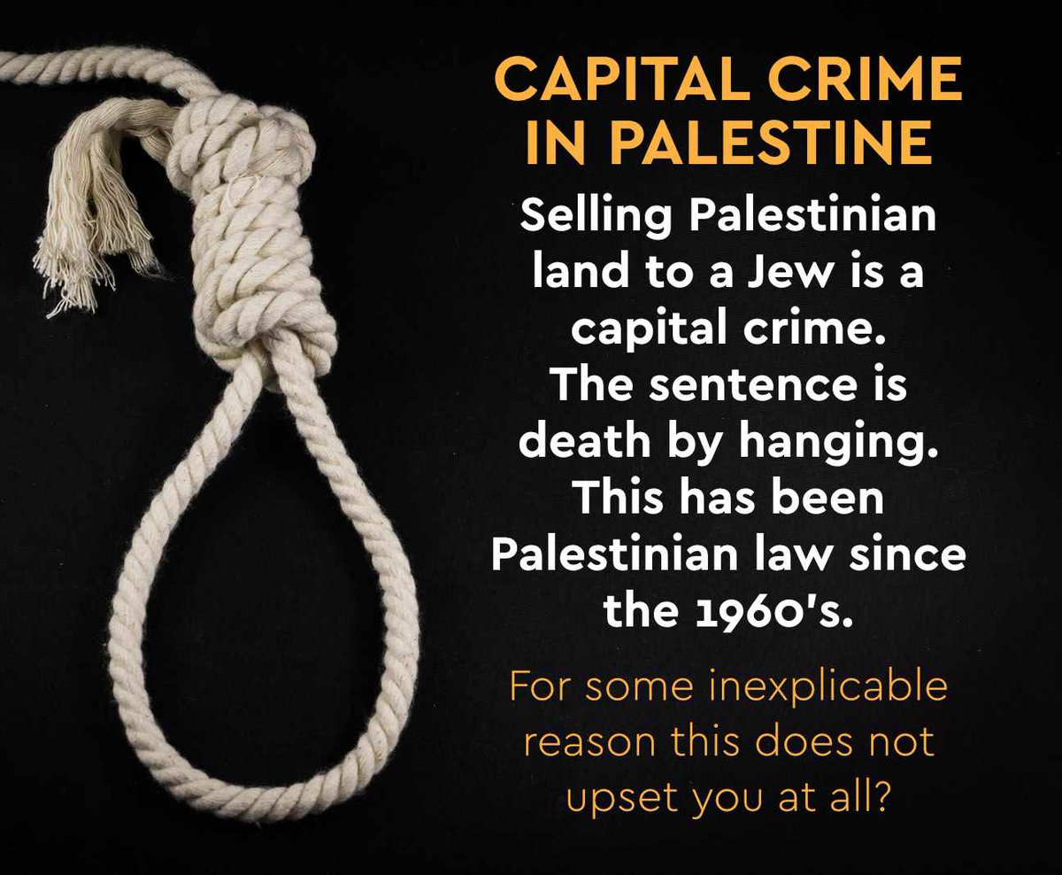 Robert Broll tweet media