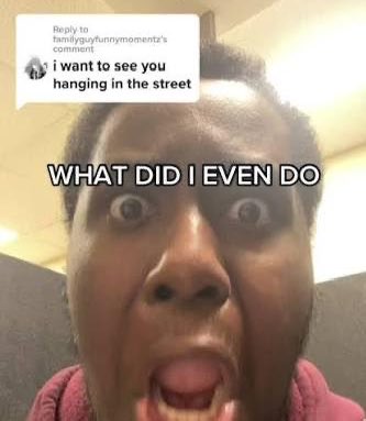 𖦹 luce tha goose tweet media