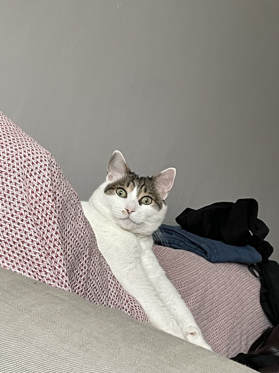 bir yıldızı tüketen karadelik tweet media