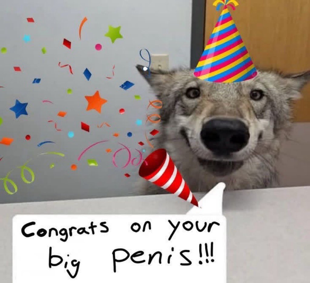 Sona🏳️⚧️ tweet media