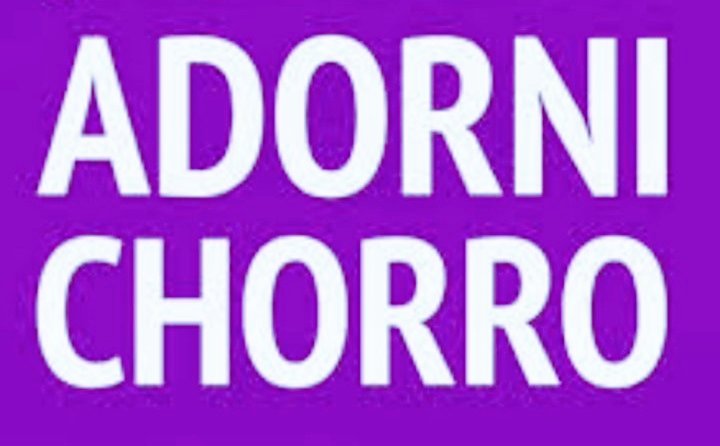 Soy PRO puro tweet media