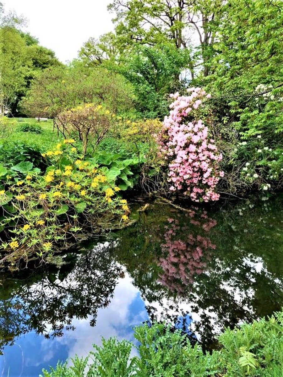 Nous avons besoin de villes plus vertes avec des parcs et plus d'arbres dans les cours arrière et les forêts voisines. « Des études suggèrent que les régions naturelles accessibles sont une ressource sérieuse pour améliorer la santé mentale dans notre monde en rapide urbanisation