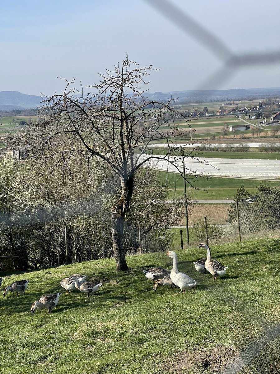 redtestwine's tweet image. เวลาใหม่ #summerTime ที่น่าเบื่อ ‼️
ยังไม่สว่างเลย วันนี้ อยากออกเดินแล้ว 

วันสุดท้าย ของเดือน แล้วนะ ช้ารวดเร็วจริงๆ
🧚🏻‍♀️Happy Day 🧚🏻‍♀️🧚🏻‍♀️