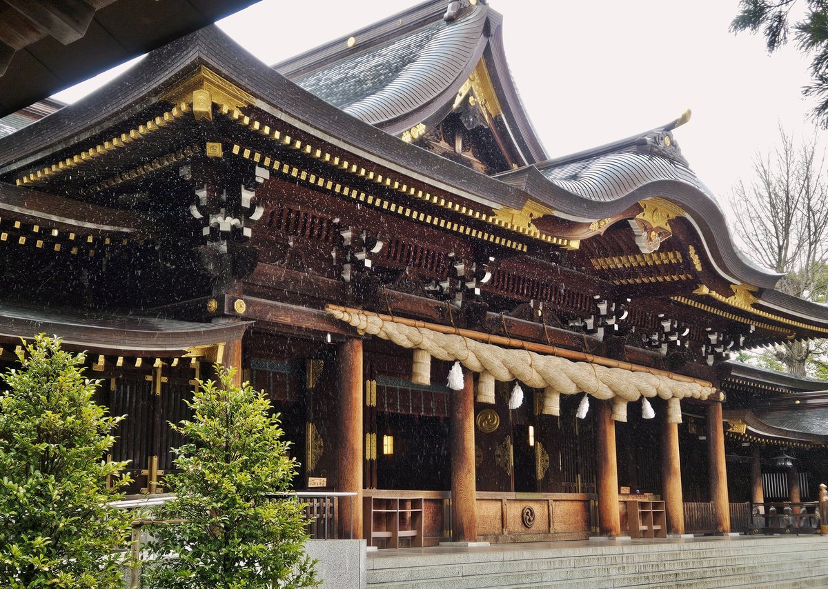 ますみさん。 tweet media