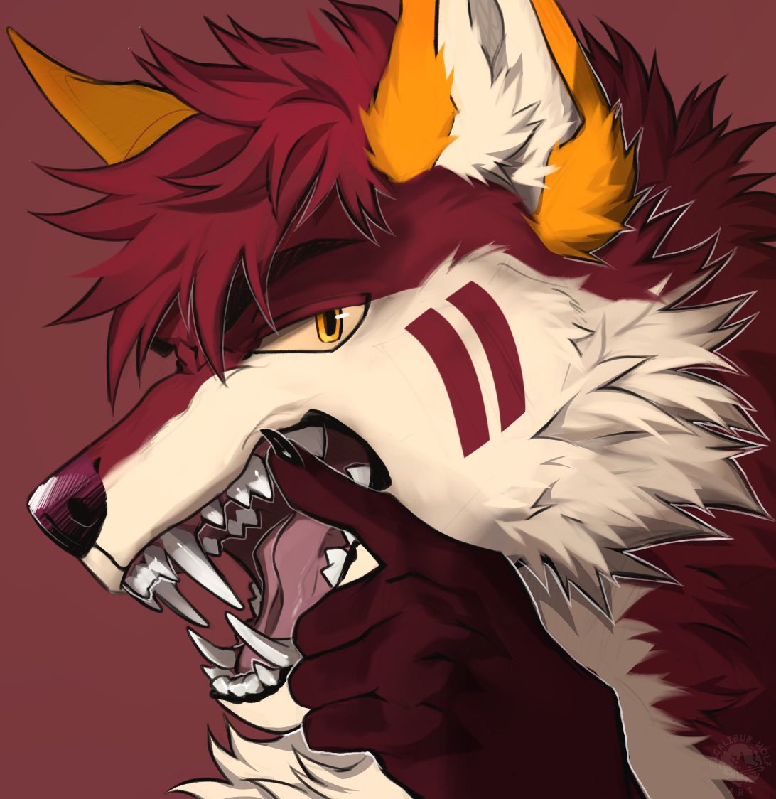 Lolef 🇨🇭🔜 Awoostria tweet media