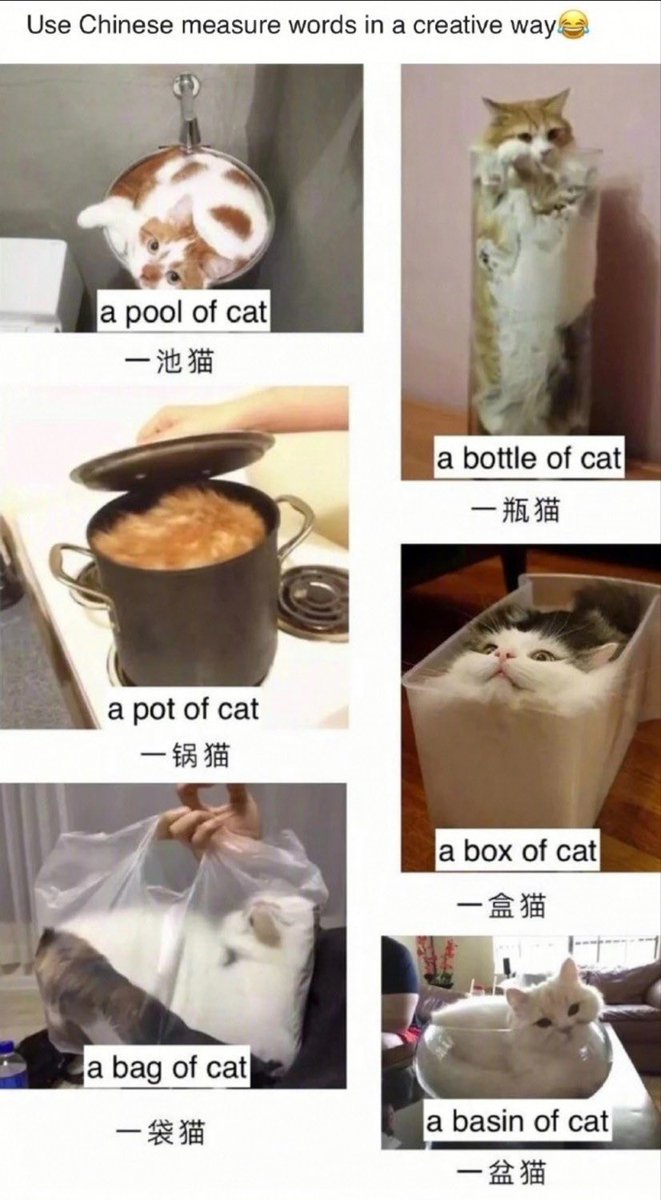 Astrolumos tweet media