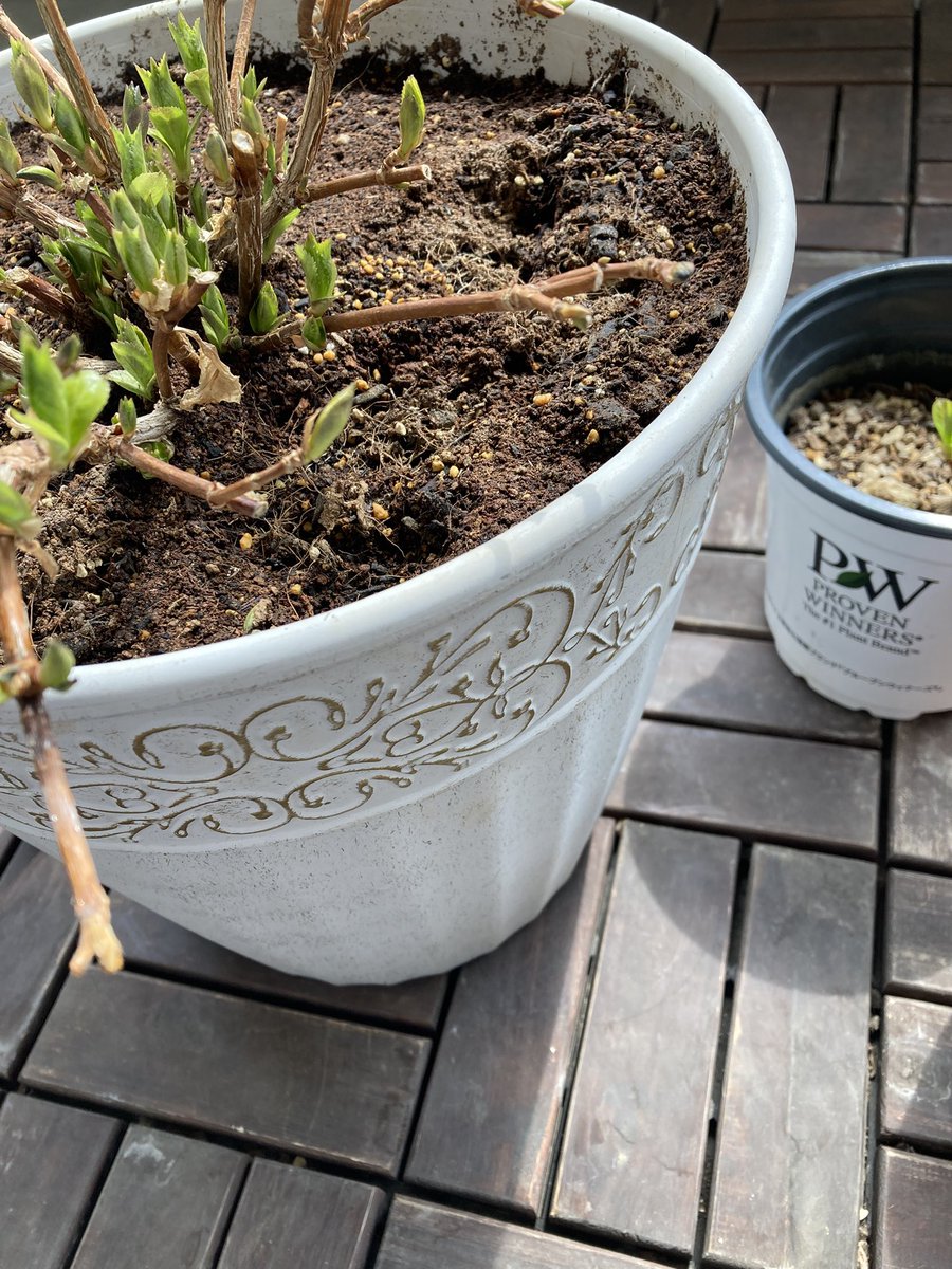 RIRImini tweet media