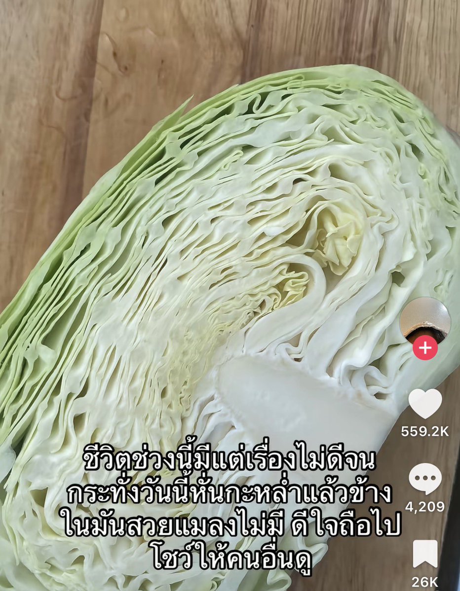 ตึ๋งตึงตึ้งพ่อค้าผ้าปูมาแล้วจ้า (490.-) ส่งฟรี tweet media