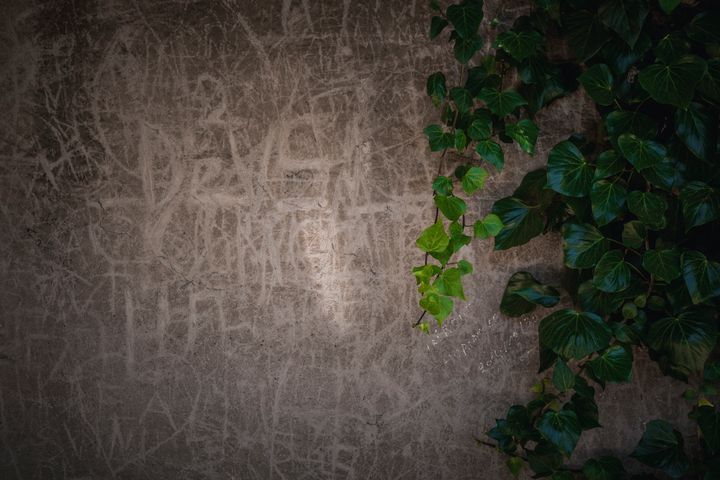 bhagwatib's tweet photo. Art of the Day! "Messages". Buy at: https://t.co/tQfGBIubFp https://t.co/OMCxJ82esl